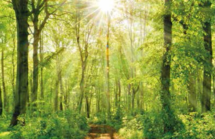 Gentle Dusk Event Loss Grief And Bereavement