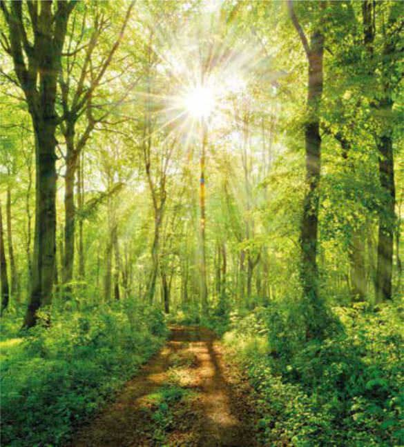 GentleDusk Practical And Emotional Support GentleDusk Practical And Emotional Support